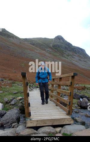 Homme marchant sur la passerelle au-dessus de Mickleden Beck sur la Cumbria Way avec le Wainwright 'Pike of Stickle' dans la vallée de Mickleden, Cumbria, Angleterre, Royaume-Uni. Banque D'Images