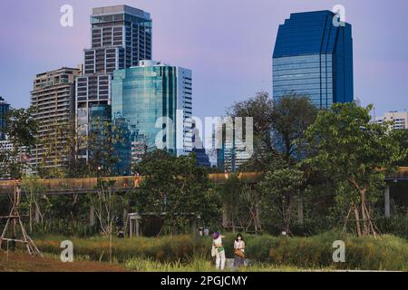 Un bâtiment moderne contraste avec le parc naturel sauvage Benchakitti de Bangkok. Banque D'Images