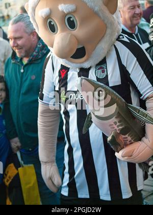 Fans du club de football de Grimsby Town à Brighton pour soutenir leur équipe Banque D'Images