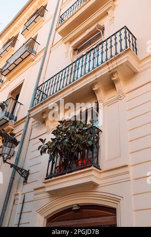 Vieux mur de bâtiment dans les rues de la ville de Valence. Fenêtres et balcons décorés avec des plantes à feuilles persistantes.Espagne. Banque D'Images