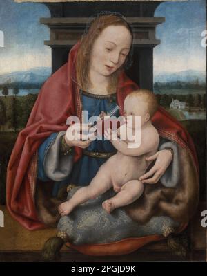 La Vierge au bébé Christ Drinking vin vers 1520 par Joos van Cleve Banque D'Images