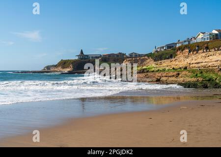 Une plage de sable en pente douce avec de légères vagues mène vers une falaise dorée surmontée de maisons et d'arbres au Natural Bridges State Beach, en Californie. Banque D'Images