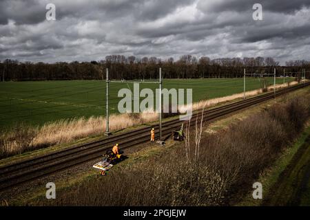 ESCH - Une photo de drone des employés de ProRail au travail sur la piste à Esch à Brabant. Les blaireaux ont creusé un système de tunnels sous la voie, ce qui a entraîné le fléchissement des rails. En raison de l'incident, aucun train ne relie Eindhoven et Den Bosch. ANP ROB ENGELAR pays-bas sortie - belgique sortie Banque D'Images
