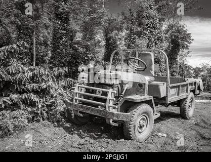 Un camion à plateau tabassé est stationné à côté de poivriers et de caféiers qui poussent à Hoa Dong, près de Buon Ma Thuot, dans les montagnes centrales du Vietnam Banque D'Images