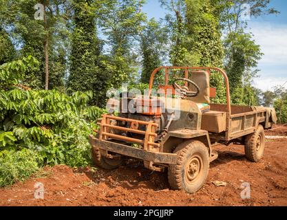 Un camion à plateau tabassé est stationné à côté de poivriers et de caféiers qui poussent à Hoa Dong, près de Buon Ma Thuot, dans les montagnes centrales du Vietnam Banque D'Images