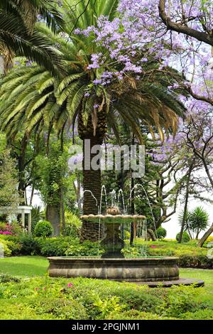 Jardin tropical Los Pinos dans le parc de Chapultepec à Mexico. Banque D'Images