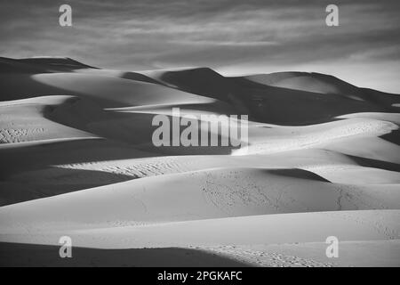 Une photo en niveaux de gris de dunes de sable dans un désert sous la lumière du soleil Banque D'Images