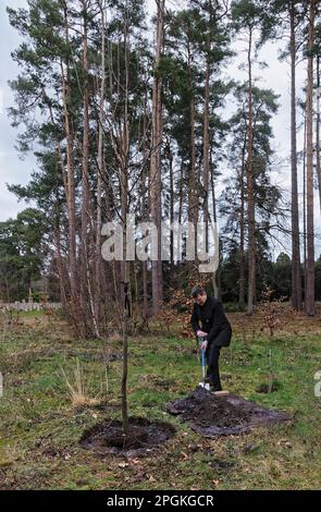 Son Excellence l'Ambassadeur slovaque au Royaume-Uni M. Róbert Ondrejcsák plantant l'arbre commémoratif du Jubilé platine QEII Banque D'Images