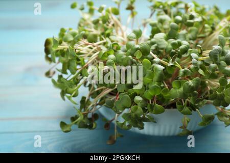 Microverts de radis frais dans un bol sur une table en bois bleu clair, gros plan Banque D'Images