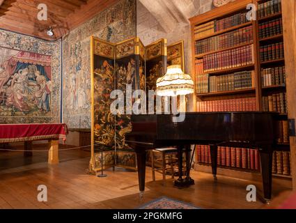 Vue intérieure de la bibliothèque du château de Dropo, Drewsteignton, Devon, Angleterre, Royaume-Uni Banque D'Images