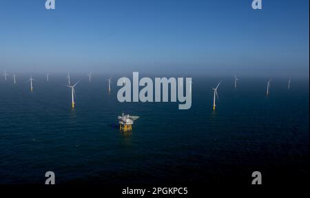 Helgoland, Allemagne. 23rd mars 2023. De nombreuses éoliennes, dont certaines provenant du nouveau parc éolien offshore de Kaskasi de RWE, peuvent être vues lors de la mise en service du parc éolien au large de Helgoland. Credit: Christian Charisius/dpa/Pool/dpa/Alay Live News Banque D'Images