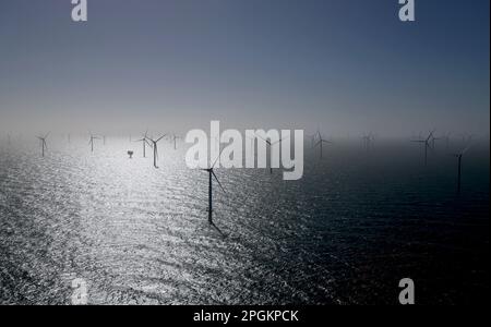 Helgoland, Allemagne. 23rd mars 2023. De nombreuses éoliennes, dont certaines provenant du nouveau parc éolien offshore de Kaskasi de RWE, peuvent être vues lors de la mise en service du parc éolien au large de Helgoland. Credit: Christian Charisius/dpa/Pool/dpa/Alay Live News Banque D'Images