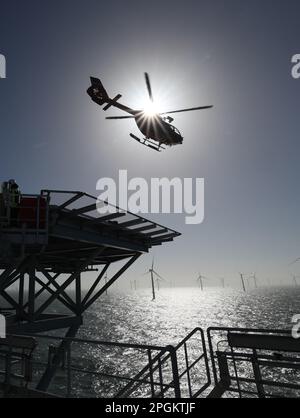 Helgoland, Allemagne. 23rd mars 2023. Un hélicoptère prend le départ de la plate-forme de transformation du nouveau parc éolien offshore Kaskasi de RWE au large de Helgoland pendant la mise en service du parc éolien. Credit: Christian Charisius/dpa/Pool/dpa/Alay Live News Banque D'Images