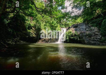 Une cascade dans la forêt, un ruisseau naturel d'eau qui coule à travers les rochers d'une hauteur en dessous, créant une humidité. Dans la forêt de Thai Banque D'Images