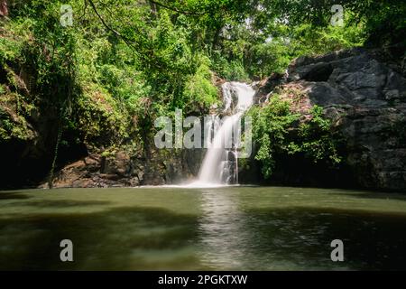 Une cascade dans la forêt, un ruisseau naturel d'eau qui coule à travers les rochers d'une hauteur en dessous, créant une humidité. Dans la forêt de Thai Banque D'Images