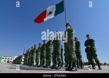 L'armée mexicaine de la zone militaire de 22nd a détruit 288 armes de petit calibre, 93 armes de long, 3472 munitions et 102 magazines, qui provenaient de saisies effectuées par le crime organisé et avaient été mis à la disposition du Ministère de la défense nationale. Sur 22 mars 2023 à Rayón, México. (Photo par Arturo Hernández/Eyepix Group/Sipa USA) crédit: SIPA USA/Alay Live News Banque D'Images