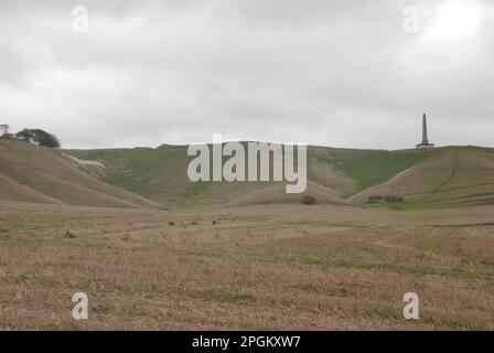 Le Monument de Lansdowne (également connu sous le nom de Monument Chervil) avec le Cheval blanc de Chervil, dans la campagne du Wiltshire, en Angleterre, le 10 octobre 2011. Banque D'Images