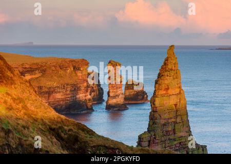 La pile de la mer Knee (au centre) au large de Duncansby Head au coucher du soleil, à partir des piles de Duncansby, près de John o' Groats, Caithness, Écosse, Royaume-Uni Banque D'Images