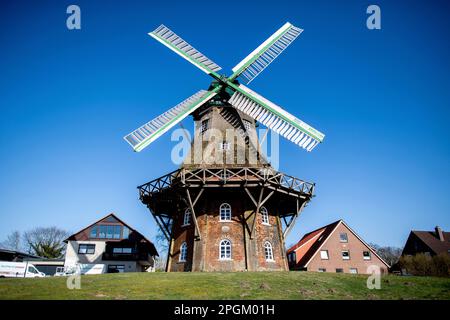 Midlum, Allemagne. 23rd mars 2023. Le moulin historique se dresse par temps ensoleillé contre un ciel bleu dans le centre de Midlum dans la municipalité de Wurster côte de la mer du Nord. Credit: Hauke-Christian Dittrich/dpa/Alay Live News Banque D'Images