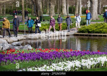 Amsterdam, The, pays-Bas. 23rd mars 2023. L'ouverture annuelle des jardins de Keukenhof a commencé, avec des bulbes du début du printemps, y compris des tulipes, des crocodiles exposés. Bien que son nom signifie « jardin de cuisine », il contient 7 millions de bulbes de printemps dans des jardins formels avec des canaux, un moulin à vent, un lac et une forêt ouverte. Il est ouvert jusqu'au 14 mai 2023. Credit: Anna Watson/Alay Live News Banque D'Images