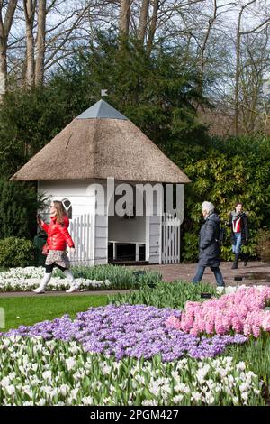 Amsterdam, The, pays-Bas. 23rd mars 2023. L'ouverture annuelle des jardins de Keukenhof a commencé, avec des bulbes du début du printemps, y compris des tulipes, des crocodiles exposés. Bien que son nom signifie « jardin de cuisine », il contient 7 millions de bulbes de printemps dans des jardins formels avec des canaux, un moulin à vent, un lac et une forêt ouverte. Il est ouvert jusqu'au 14 mai 2023. Credit: Anna Watson/Alay Live News Banque D'Images