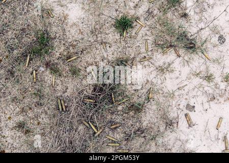 Vue de dessus d'un grand nombre de cartouches d'un fusil d'assaut Kalashnikov allongé sur le sable au milieu de l'herbe. Banque D'Images
