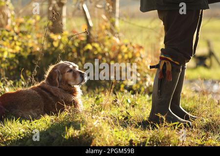 Un chien et son propriétaire battant sur une pousse Banque D'Images