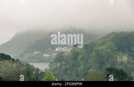 Salcombe est une station balnéaire populaire dans le quartier de South Hams à Devon, dans le sud-ouest de l'Angleterre. Banque D'Images