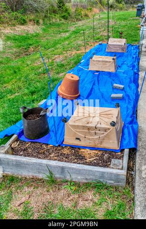 Plan vertical d'un jardin surélevé d'appartement couvert d'une bâche pour protéger contre un gel tardif. Banque D'Images