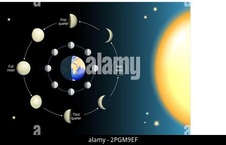 phase lunaire. Les phases de la Lune dépendent de la position de la Lune en orbite autour de la Terre et du soleil. Mouvements de la Lune. 8 phases lunaires. Réaliste Illustration de Vecteur