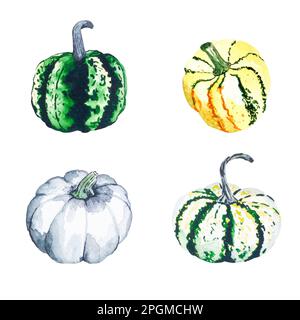 Citrouilles. Illustration aquarelle de citrouilles brillantes. Illustration avec légumes. Image isolée sur fond blanc. Convient aux cartes, bannières Banque D'Images
