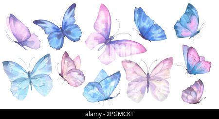 Un ensemble délicat de jolis papillons roses et bleus. L'illustration aquarelle a isolé des objets sur un fond blanc. Pour la décoration, le design romantique, Banque D'Images