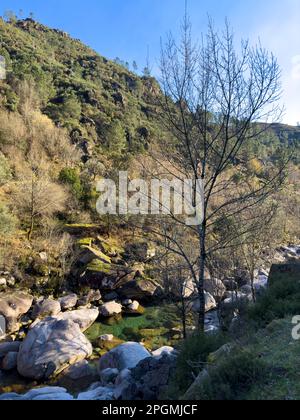 Cours d'eau près de la cascade de Fecha de Barjas (également connue sous le nom de cascade de Tahiti) dans les montagnes du parc national de Peneda-Geres, Portugal. Banque D'Images