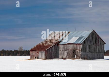 Ancienne grange classique près de Rudyard, Upper Peninsula, Michigan, États-Unis [aucune autorisation de propriété ; licence éditoriale uniquement] Banque D'Images