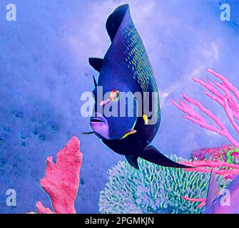 Une illustration au néon d'une Angelfish française nageant au milieu du récif de corail dans l'océan. Banque D'Images