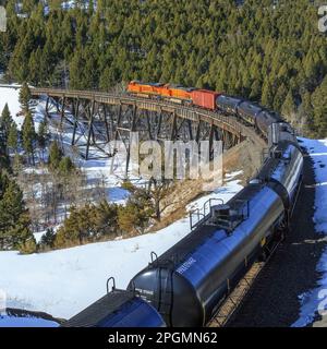 train transportant des voitures à huile au-dessus de la trestle sous mullan pass près d'austin, montana Banque D'Images