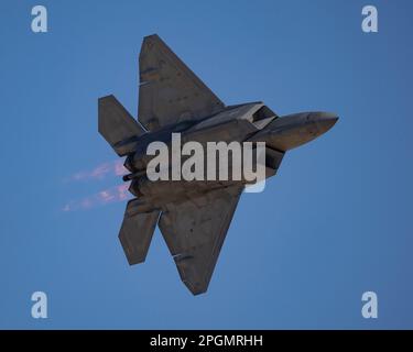 Las Vegas, NV - 6 novembre 2022 : avion de chasse F-22 avec brûleurs lors d'une démonstration au salon de l'aviation de la Nation à Nellis AFB. Banque D'Images