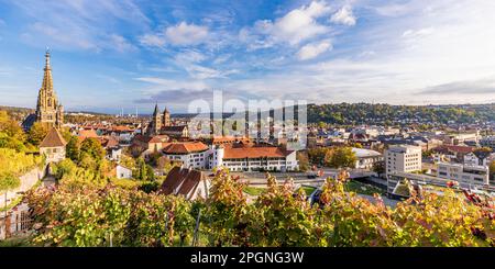 Allemagne, Bade-Wurtemberg, Esslingen, vue panoramique de la ville en automne avec vignoble en premier plan Banque D'Images