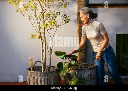 Femme mûre souriante arrosoir des plantes en pot Banque D'Images