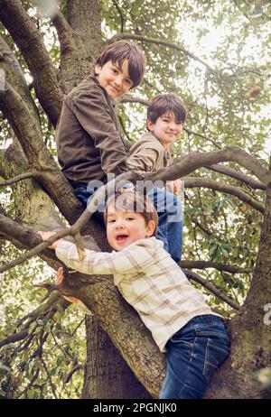 Frères appréciant les uns avec les autres sur la branche d'arbre au parc Banque D'Images