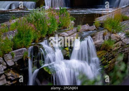 Les chutes d'eau de Hog's Back, Ottawa (Ontario), Canada Banque D'Images