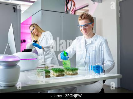 Scientifique pulvérisant sur des plantes en laboratoire