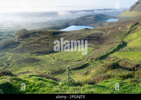 Écosse le glissement de terrain de Quiraing sur la face est de Skye, le sommet le plus au nord de la crête de Trotternish Banque D'Images