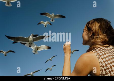 Femme nourrissant des mouettes volant dans le ciel Banque D'Images