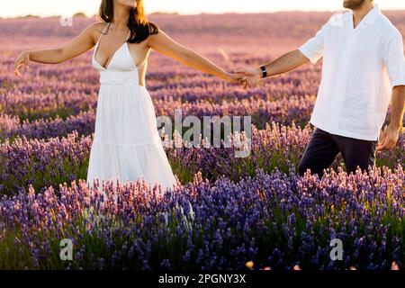 Homme et femme se tenant les mains et marchant dans le champ de lavande Banque D'Images