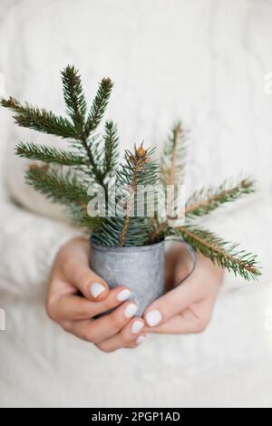 Les femmes tiennent une tasse vintage avec des branches d'épinette Banque D'Images