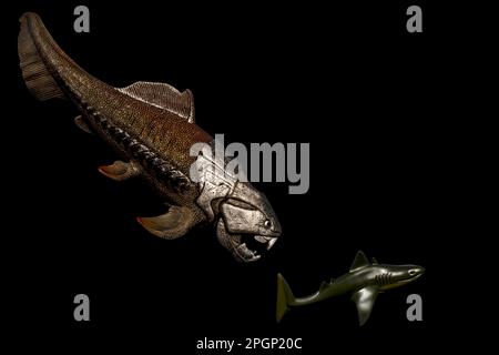 Ce brillant modèle du monstre dévonien dernier Dunkleosteus (de Schleich, 2015) montre une créature qui a terrorisé les océans du monde antique. Banque D'Images