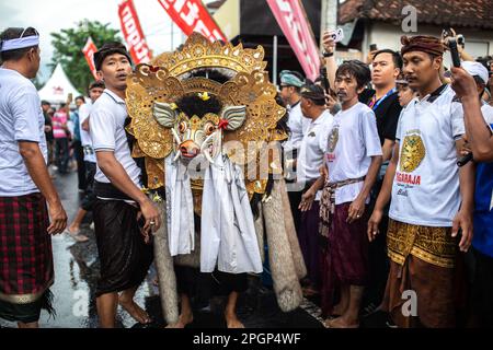 Denpasar, Bali, Indonésie - 23 mars 2023 : festival Omed-Omeda également connu sous le nom de rituel de Kissing dans les rues de Denpasar, Bali, Indonésie. Banque D'Images