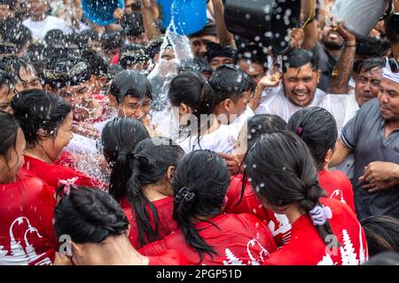 Denpasar, Bali, Indonésie - 23 mars 2023 : festival Omed-Omeda également connu sous le nom de rituel de Kissing dans les rues de Denpasar, Bali, Indonésie. Banque D'Images