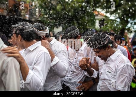 Denpasar, Bali, Indonésie - 23 mars 2023 : festival Omed-Omeda également connu sous le nom de rituel de Kissing dans les rues de Denpasar, Bali, Indonésie. Banque D'Images